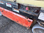 General Appearance with Paint