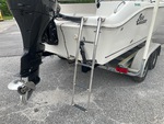 General Appearance with Steps/Ladders
