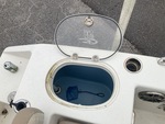 Hull with Livewell Systems