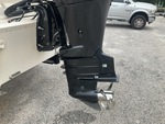 Motor(s) with Lower Unit