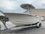 General Appearance with Paint