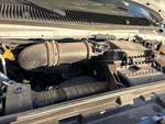 Engine with Fuel System