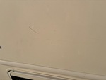General Appearance with Paint