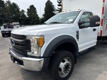 General Appearance with Paint