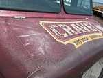 General Appearance with Paint