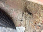 Trailer Chassis with Lights/Wiring Condition