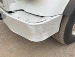 General Appearance with Pintura