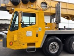 General Appearance with Paint