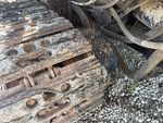 Drivetrain with Drive Motors