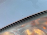 General Appearance with Paint