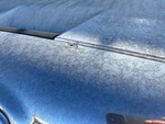 General Appearance with Paint