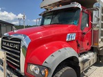 General Appearance with Paint