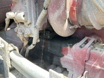 Engine with Oil Leaks
