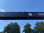 General Appearance with Pintura