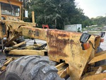 General Appearance with Paint