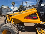 General Appearance with Paint
