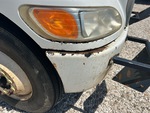 General Appearance with Paint