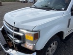 General Appearance with Paint