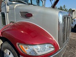 General Appearance with Paint