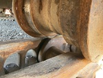 Undercarriage with Left Track Rollers