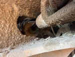 Hydraulics with Steering Cylinders