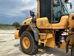 General Appearance with Paint