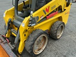Telaio with Frame Condition