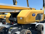 General Appearance with Paint