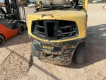 General Appearance with Peinture
