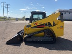 General Appearance with Paint