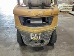 General Appearance with Paint