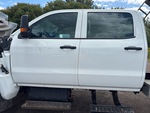 General Appearance with Paint