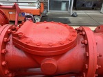 Water Pump with Discharge Check Valve