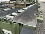 General Appearance with Paint