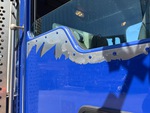 General Appearance with Paint