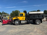 General Appearance with Paint