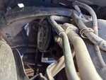 Motor with