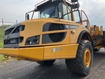 General Appearance with Peinture