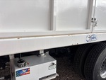 General Appearance with Paint