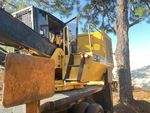 General Appearance with Paint