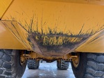 General Appearance with Pintura