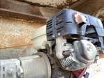 Engine with Exhaust System