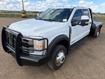 General Appearance with Paint