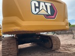 General Appearance with Paint