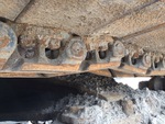 Undercarriage with Right Track Links