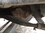 Silnik with Oil Leaks