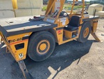 General Appearance with Paint
