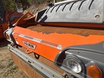 General Appearance with Paint
