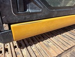 General Appearance with Peinture