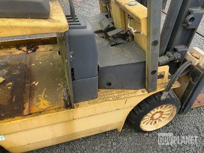 General Appearance with Paint